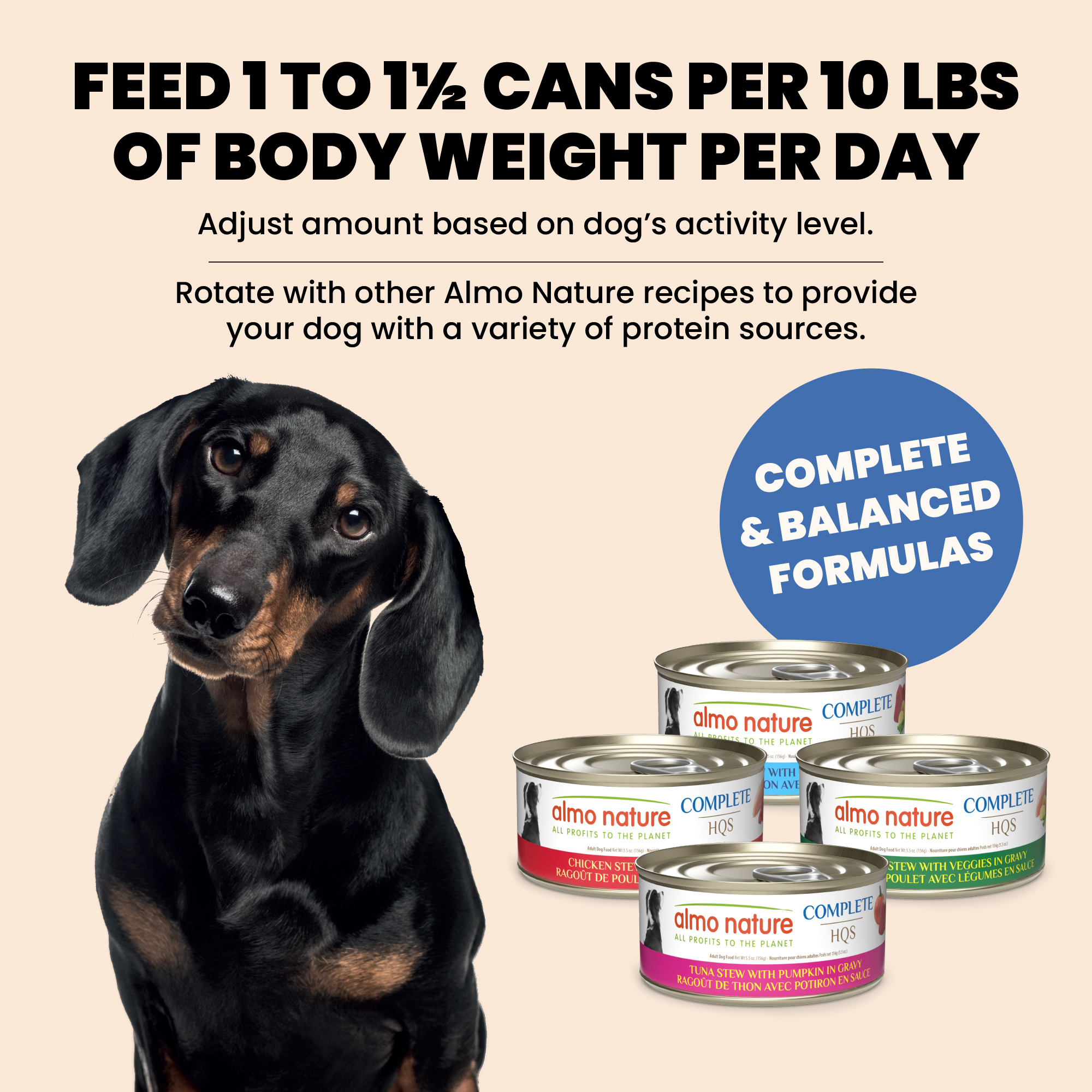 【おまとめ】【Bedtime】【Feeding the chickens】他２点 Buy Stella & Chewy's Chick, Chick, Chicken Dinner for Cats